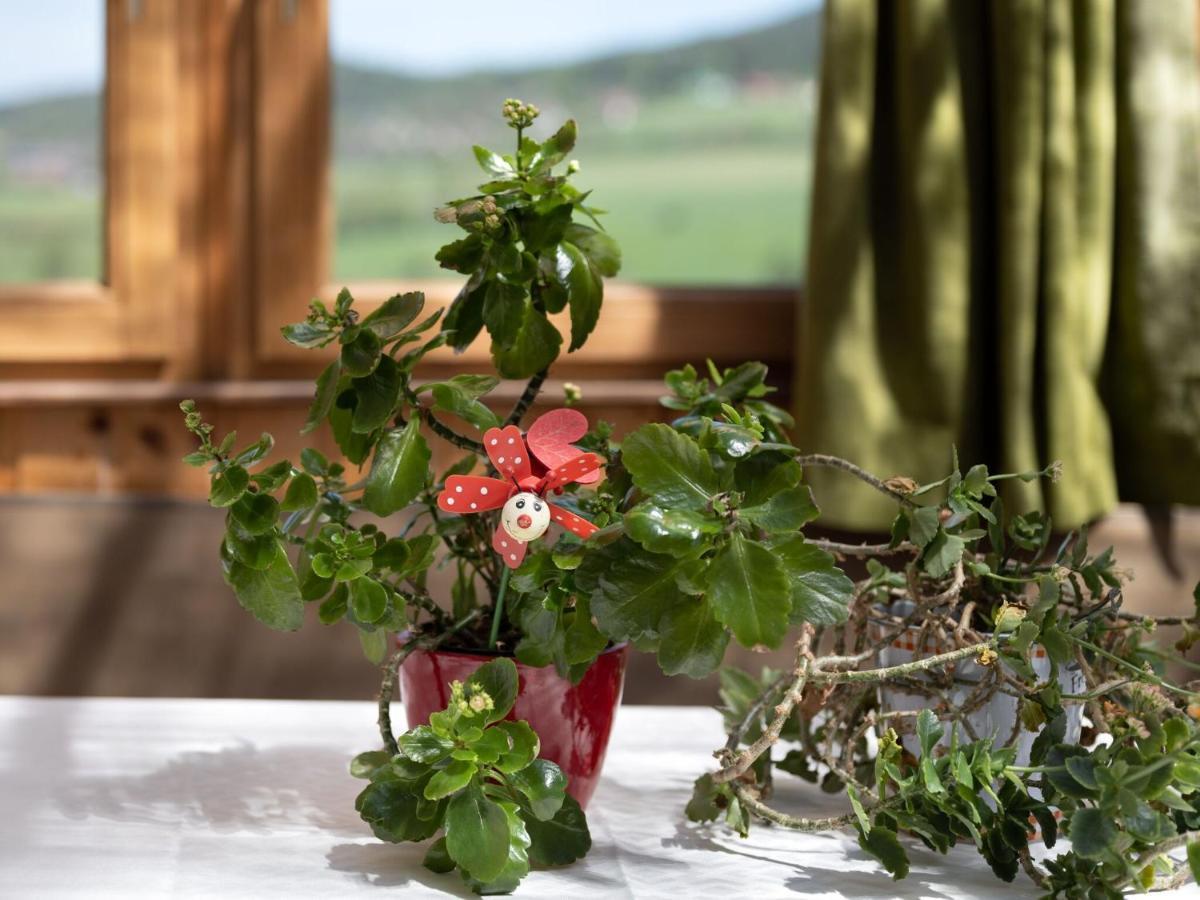 Quaint Holiday Home In Bad K Tzting With Garden Terrace Bad Koetzting Exterior photo